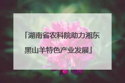 湖南省农科院助力湘东黑山羊特色产业发展