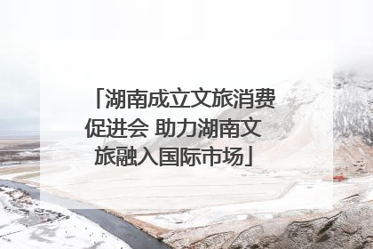 湖南成立文旅消费促进会 助力湖南文旅融入国际市场