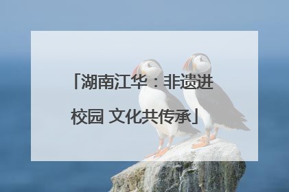 湖南江华：非遗进校园 文化共传承
