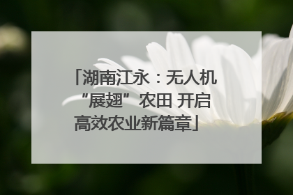 湖南江永：无人机“展翅”农田 开启高效农业新篇章