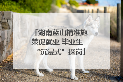 湖南蓝山精准施策促就业 毕业生“沉浸式”探岗