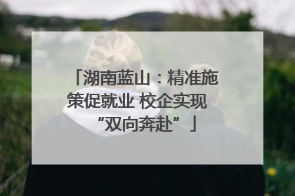 湖南蓝山：精准施策促就业 校企实现“双向奔赴”