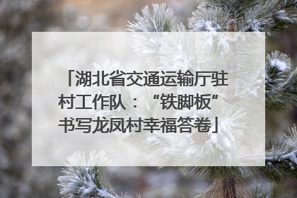 湖北省交通运输厅驻村工作队：“铁脚板”书写龙凤村幸福答卷