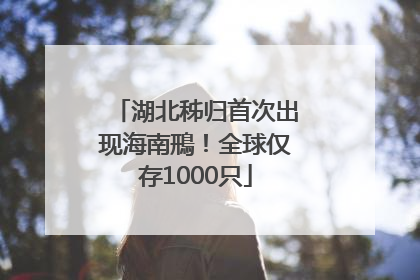 湖北秭归首次出现海南鳽！全球仅存1000只