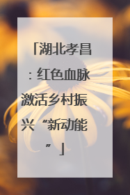 湖北孝昌：红色血脉激活乡村振兴“新动能”