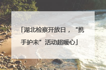 湖北检察开放日，“携手护未”活动超暖心