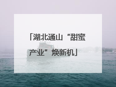 湖北通山“甜蜜产业”焕新机