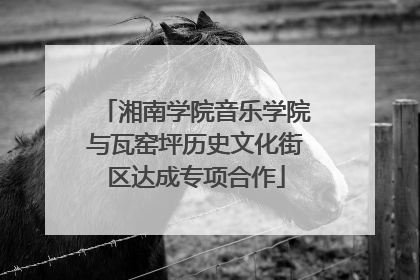 湘南学院音乐学院与瓦窑坪历史文化街区达成专项合作