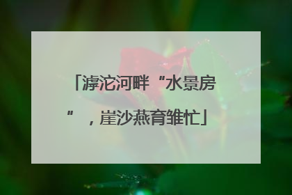 滹沱河畔“水景房”，崖沙燕育雏忙