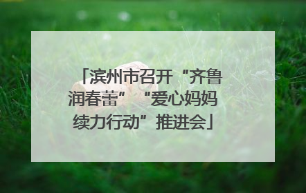 滨州市召开“齐鲁润春蕾”“爱心妈妈续力行动”推进会