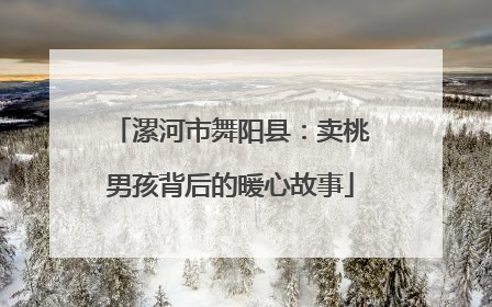 漯河市舞阳县：卖桃男孩背后的暖心故事