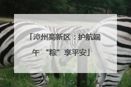 漳州高新区：护航端午 “粽”享平安