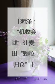 菏泽：“机收会战”让麦田“颗粒归仓”