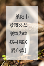 莱阳市菜哥公益联盟为患病村民送爱心款