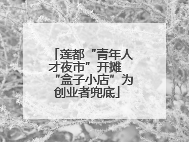 莲都“青年人才夜市”开摊 “盒子小店”为创业者兜底