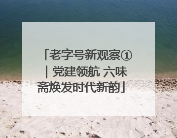 老字号新观察①｜党建领航 六味斋焕发时代新韵