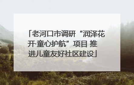 老河口市调研“润泽花开·童心护航”项目 推进儿童友好社区建设