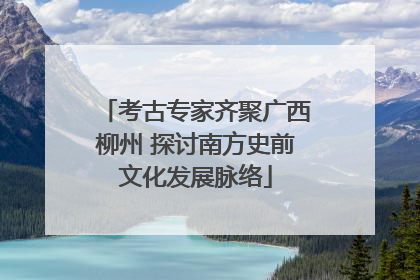 考古专家齐聚广西柳州 探讨南方史前文化发展脉络