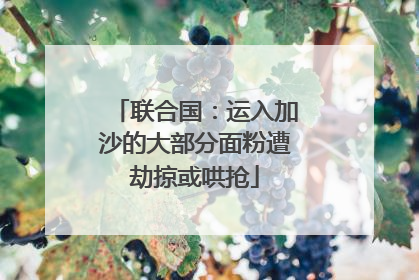 联合国：运入加沙的大部分面粉遭劫掠或哄抢