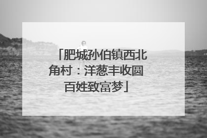 肥城孙伯镇西北角村：洋葱丰收圆百姓致富梦