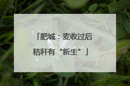 肥城：麦收过后秸秆有“新生”