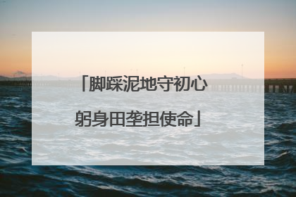 脚踩泥地守初心 躬身田垄担使命