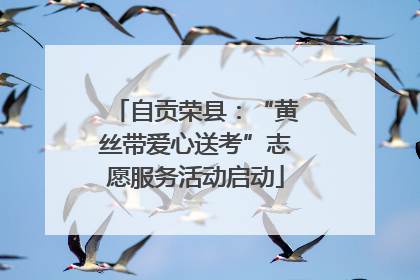 自贡荣县：“黄丝带爱心送考”志愿服务活动启动