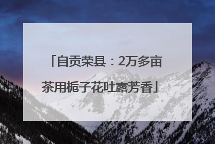 自贡荣县：2万多亩茶用栀子花吐露芳香