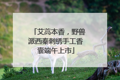 艾蒿本香，野兽派西秦刺绣手工香囊端午上市