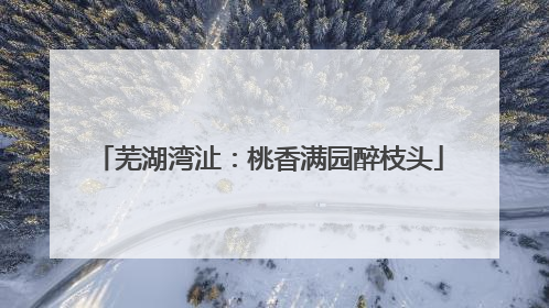 芜湖湾沚：桃香满园醉枝头
