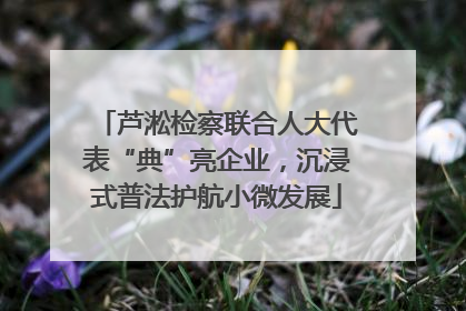 芦淞检察联合人大代表“典”亮企业，沉浸式普法护航小微发展