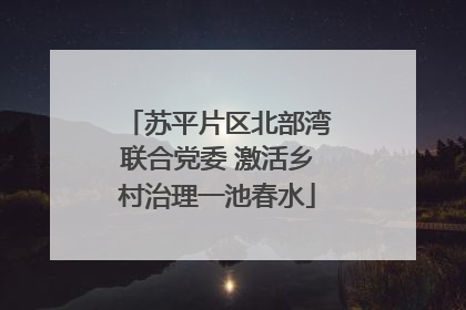 苏平片区北部湾联合党委 激活乡村治理一池春水