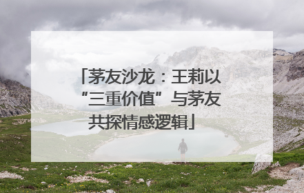 茅友沙龙：王莉以“三重价值”与茅友共探情感逻辑