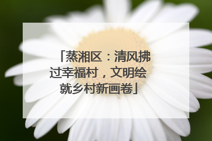 蒸湘区：清风拂过幸福村，文明绘就乡村新画卷