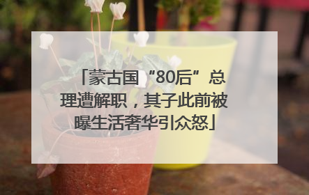 蒙古国“80后”总理遭解职，其子此前被曝生活奢华引众怒