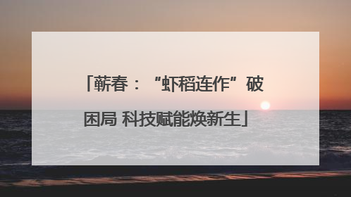 蕲春：“虾稻连作”破困局 科技赋能焕新生