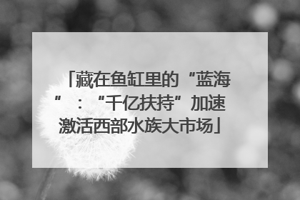 藏在鱼缸里的“蓝海”：“千亿扶持”加速激活西部水族大市场