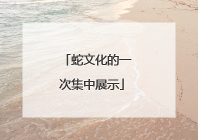 蛇文化的一次集中展示