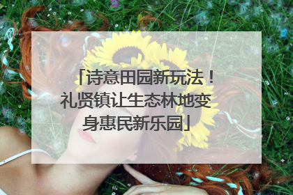 诗意田园新玩法！礼贤镇让生态林地变身惠民新乐园