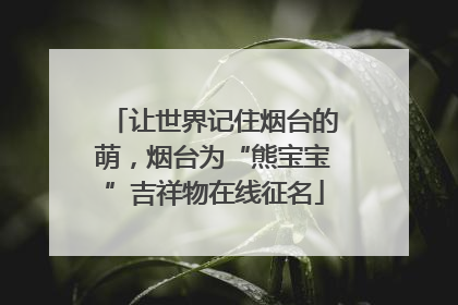 让世界记住烟台的萌，烟台为“熊宝宝”吉祥物在线征名