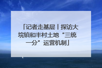 记者走基层丨探访大垸镇和丰村土地“三统一分”运营机制