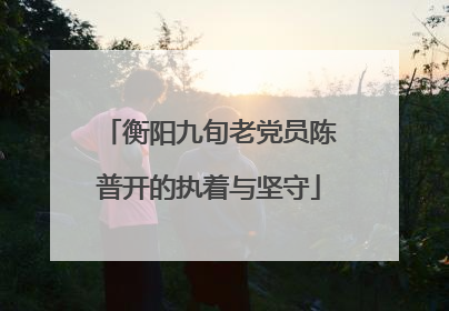 衡阳九旬老党员陈普开的执着与坚守