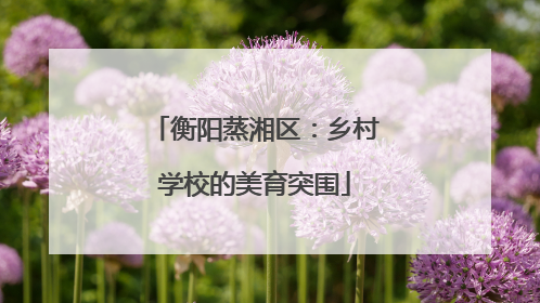 衡阳蒸湘区：乡村学校的美育突围
