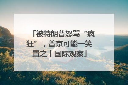 被特朗普怒骂“疯狂”，普京可能一笑置之丨国际观察