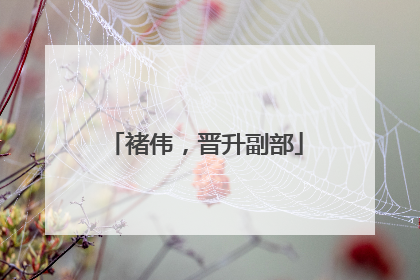 褚伟，晋升副部
