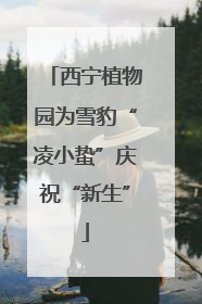 西宁植物园为雪豹“凌小蛰”庆祝“新生”