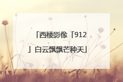 西楼影像「912」白云飘飘芒种天