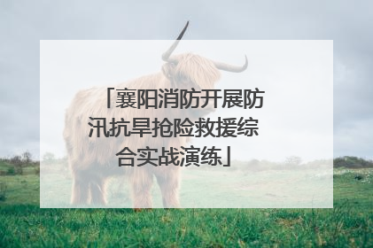襄阳消防开展防汛抗旱抢险救援综合实战演练