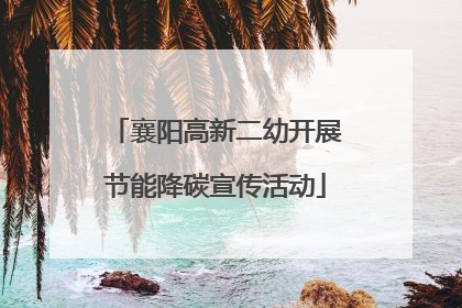 襄阳高新二幼开展节能降碳宣传活动