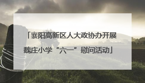 襄阳高新区人大政协办开展魏庄小学“六一”慰问活动